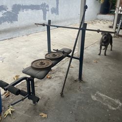 Bench,  2 - 33lb Plates ,  2 - 1in barbells 