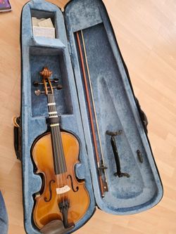 14" viola