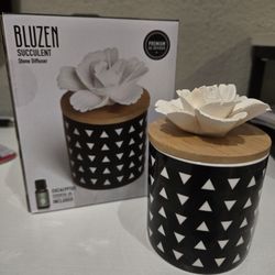 BLUZEN Original Cylinder Succulent and 5mL Eucalyptus Essential Oil