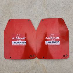 Weight plates For Working Out/crossfit/rucking