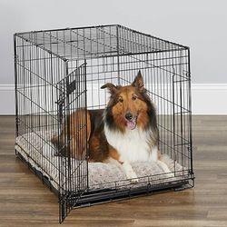 Dog cage