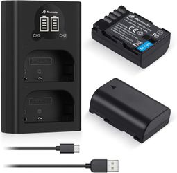 2 Pack DMW-BLF19, DMW-BLF19E, DMW-BLF19PP Replacement Batteries and Dual USB Charger