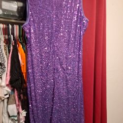 Womans Sequin Dress