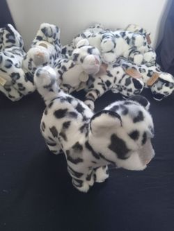 Snow leopard