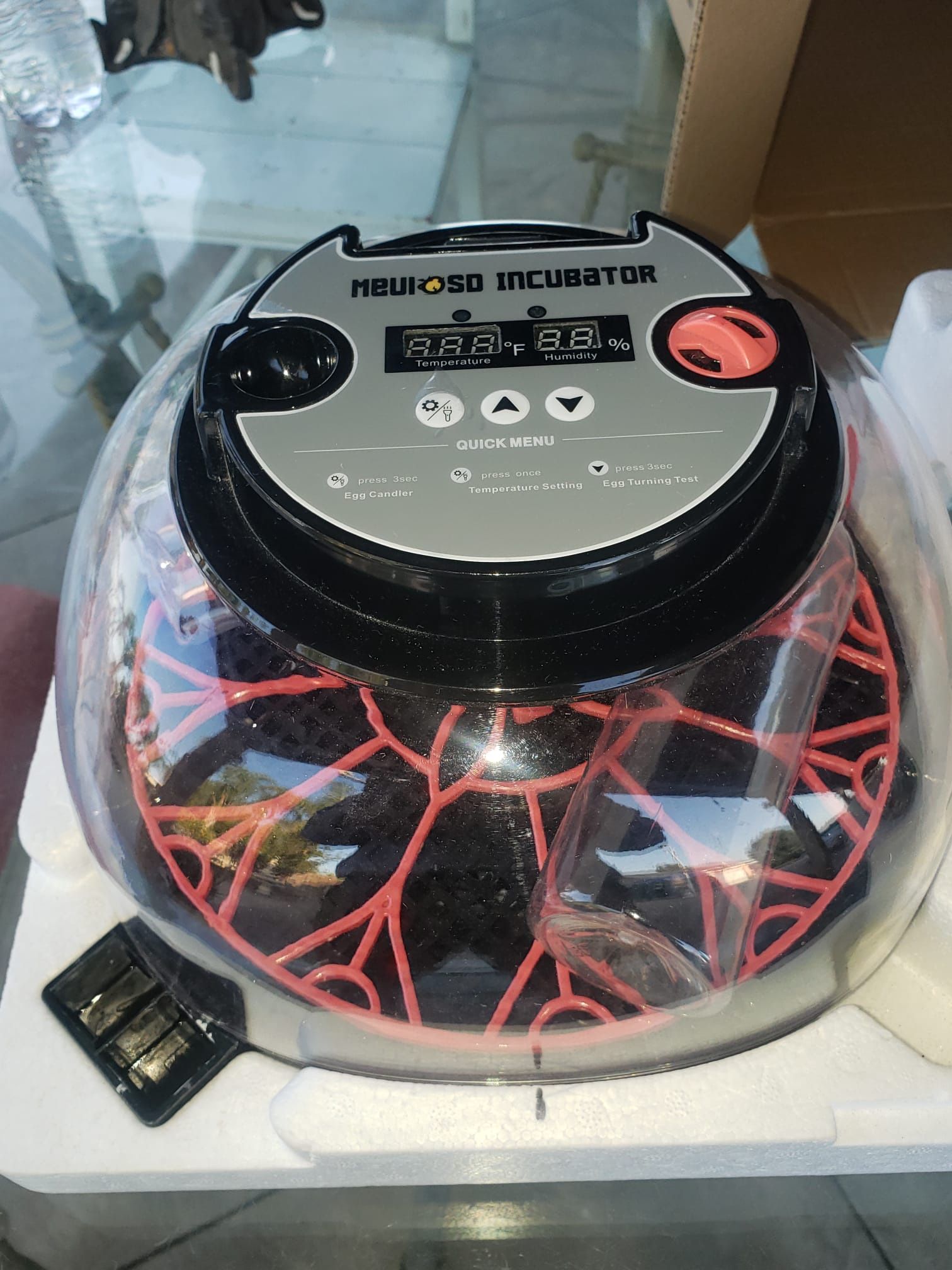 Egg Incubator