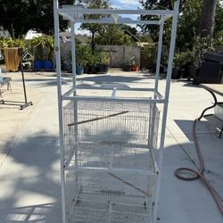 Bird Cage 