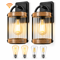 2 Pack Dusk to Dawn Outdoor Wall Lights with 4 LED Bulbs