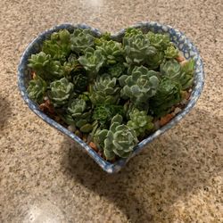 LOVE Gift For Her Valentine’s Day