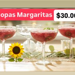 Margaritas Set De 4 Prepara Tu Bebidas Favoritas Princess House Ventas Finales 