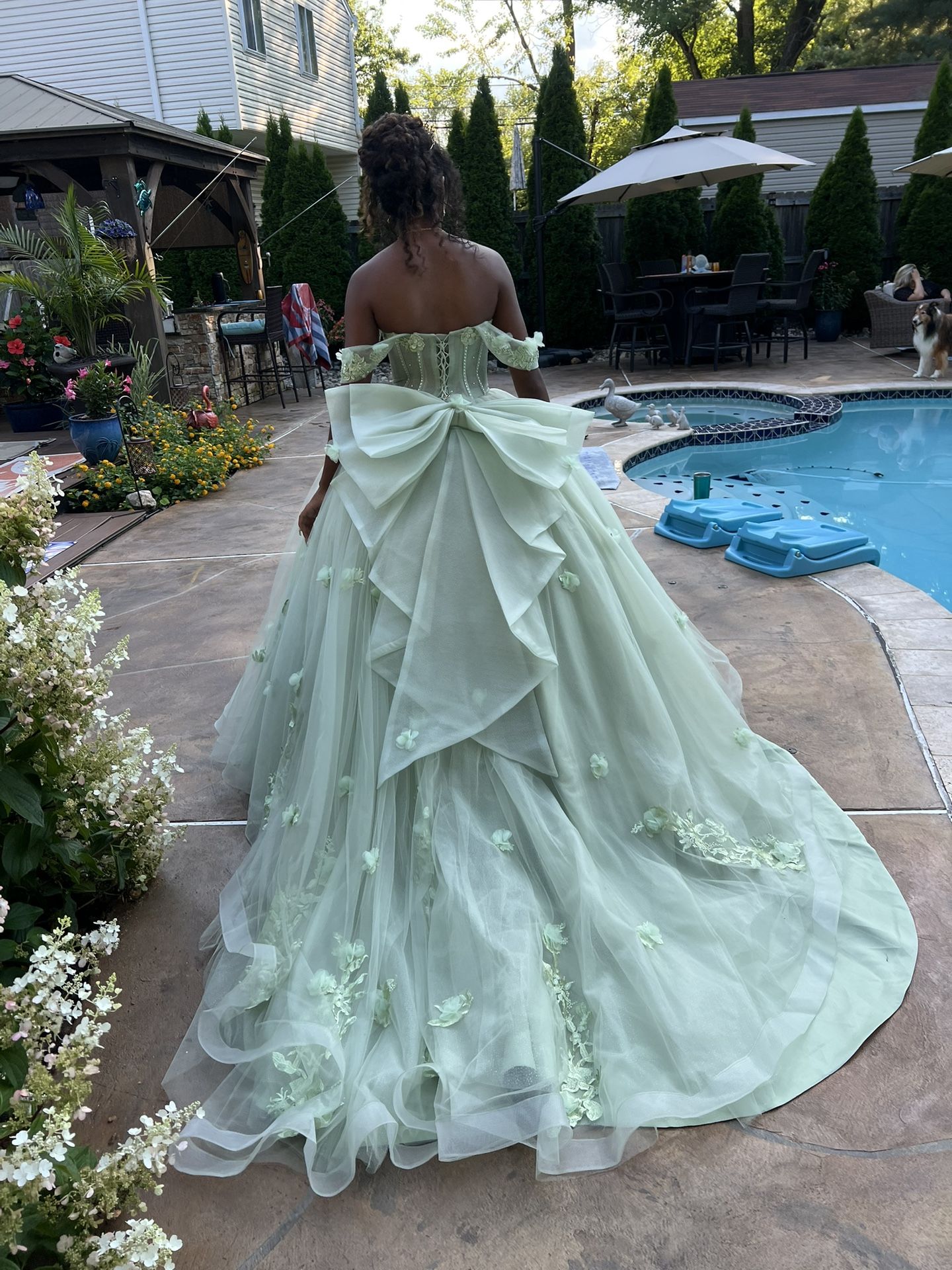 Quinceañera Or Sweet sixteen Dress