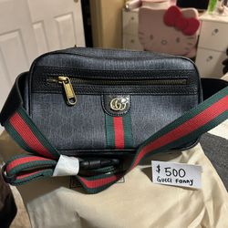 Gucci Fanny