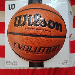 Wilson evolution basketball