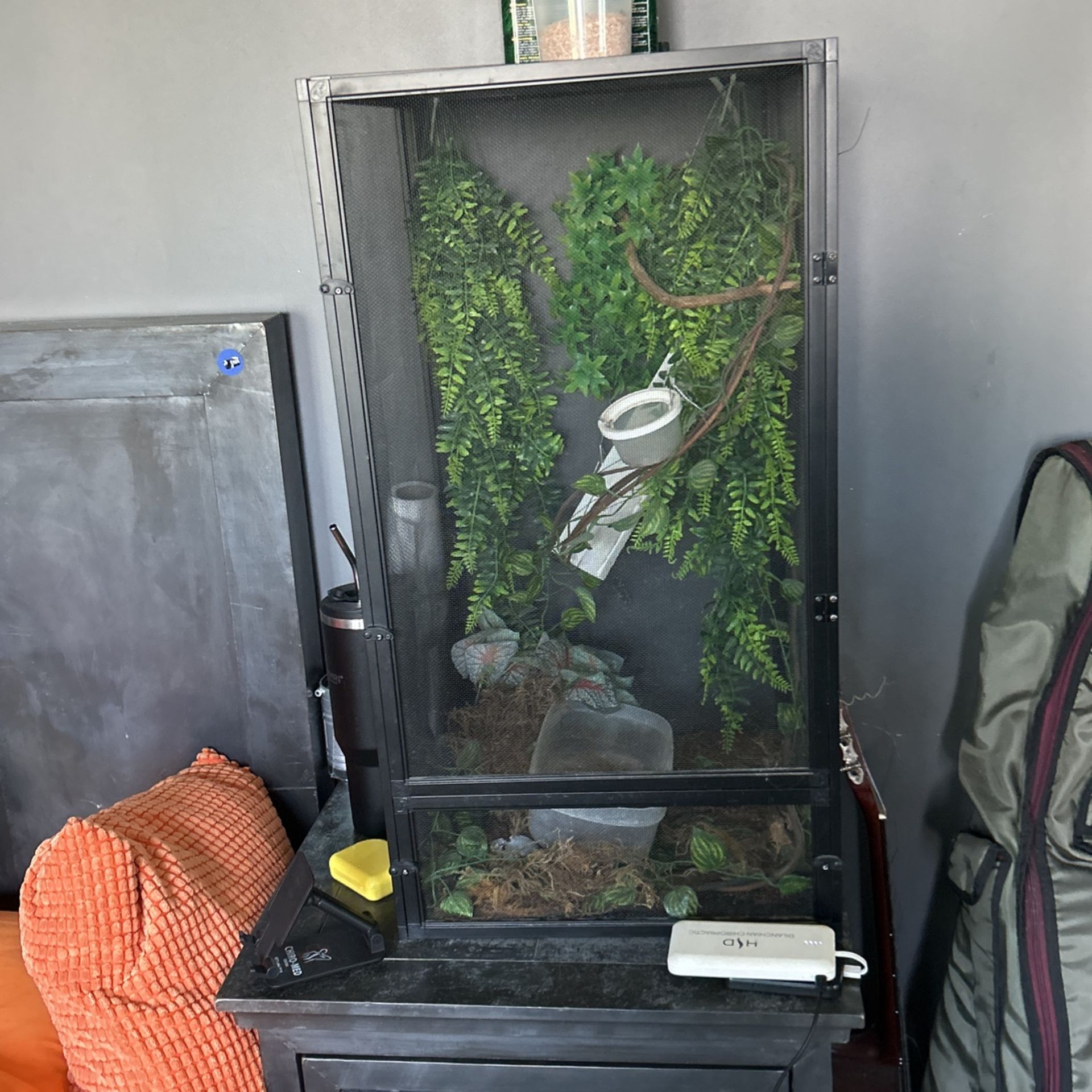 Big Chameleon Cage/cage/tank/chameleon Kit