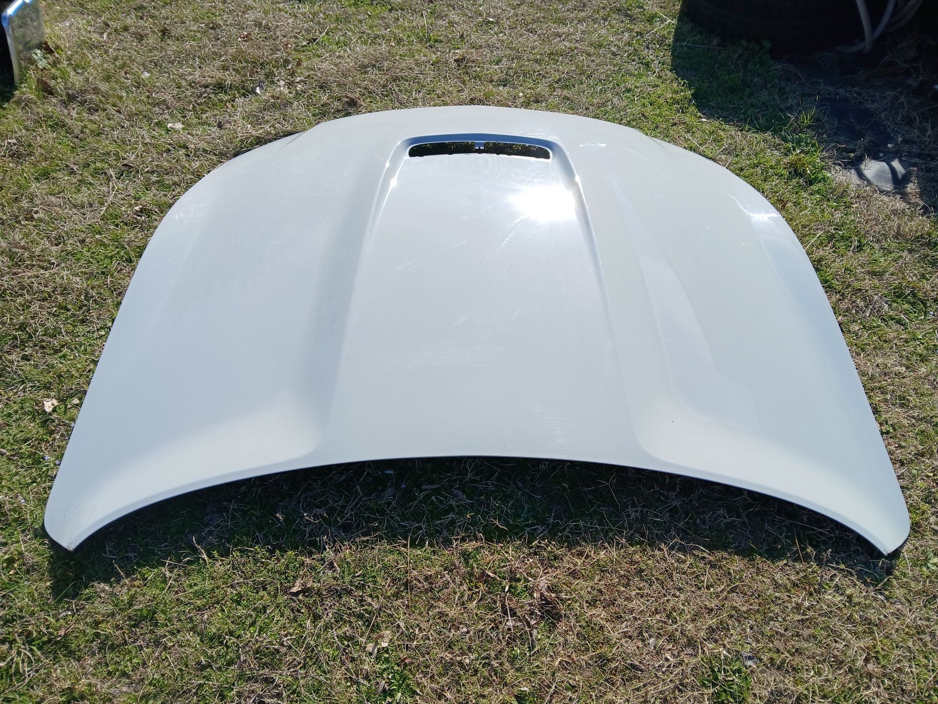 2015-2020 Muatang Shelby GT350 Hood OEM