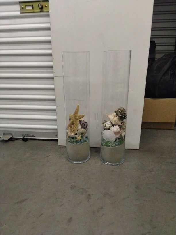 Seashell Decorations