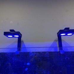 Saltwater Equipement 