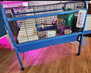 Rabbit cage with accessories - $195
