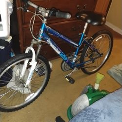 Roadmaster  Graphite peaks