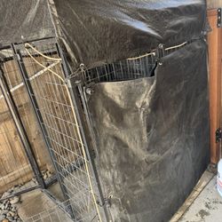 Dog Kennel 
