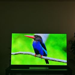65” LG 4K OLED EVO 