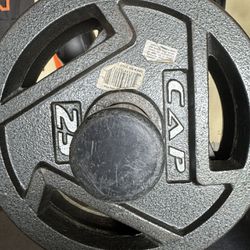 A Set Of 25 Pound Olympic Weights