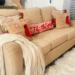 Beautiful Beige Sofas