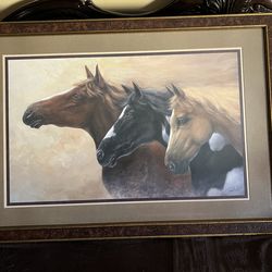 Horse pictures