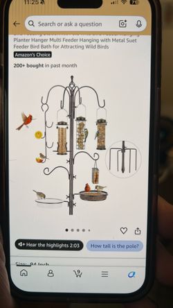 Wild Bird Feeding Station with Multiple Feeders