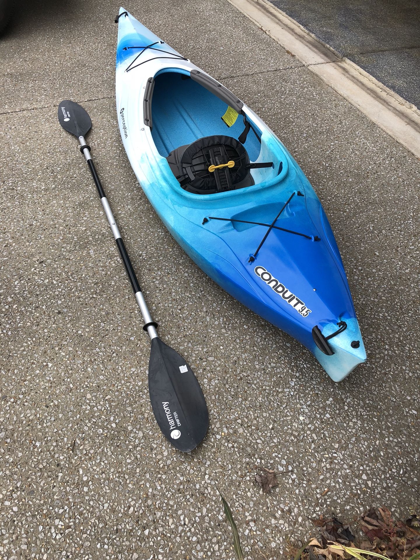 Perception Kayak for Sale in Nashville, TN OfferUp