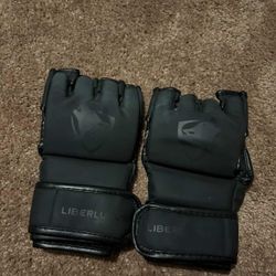 Fighting Gloves 