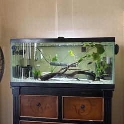 Fish Tank Decor 