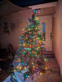Christmas Trees