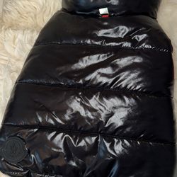 Dog MONCLER Jacket