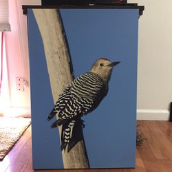 Blake Shaw -Signed Bird 