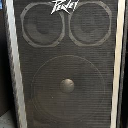 Peavey 1820 Bass Cabinet 18" & 2 x 10" USA Made 