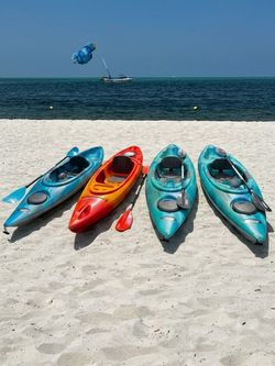 3 Pelicans & 1 Perception Kayaks