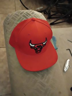 Chicago bulls snap back
