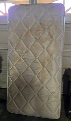 Free Twin Mattress