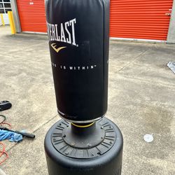 Everlast Power Core Boxing Bag