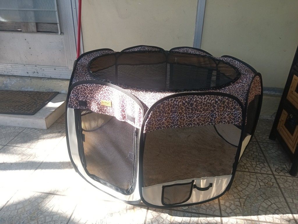Pet Playground