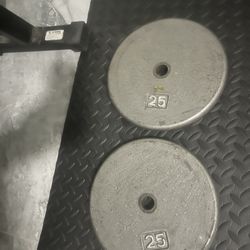 Pair Of 25lb Standard Inch Weights Plates Total 50lb