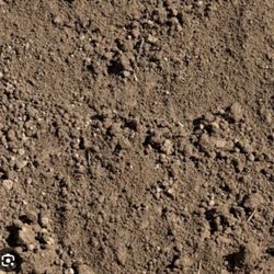 Wanted Free Clean Dirt 