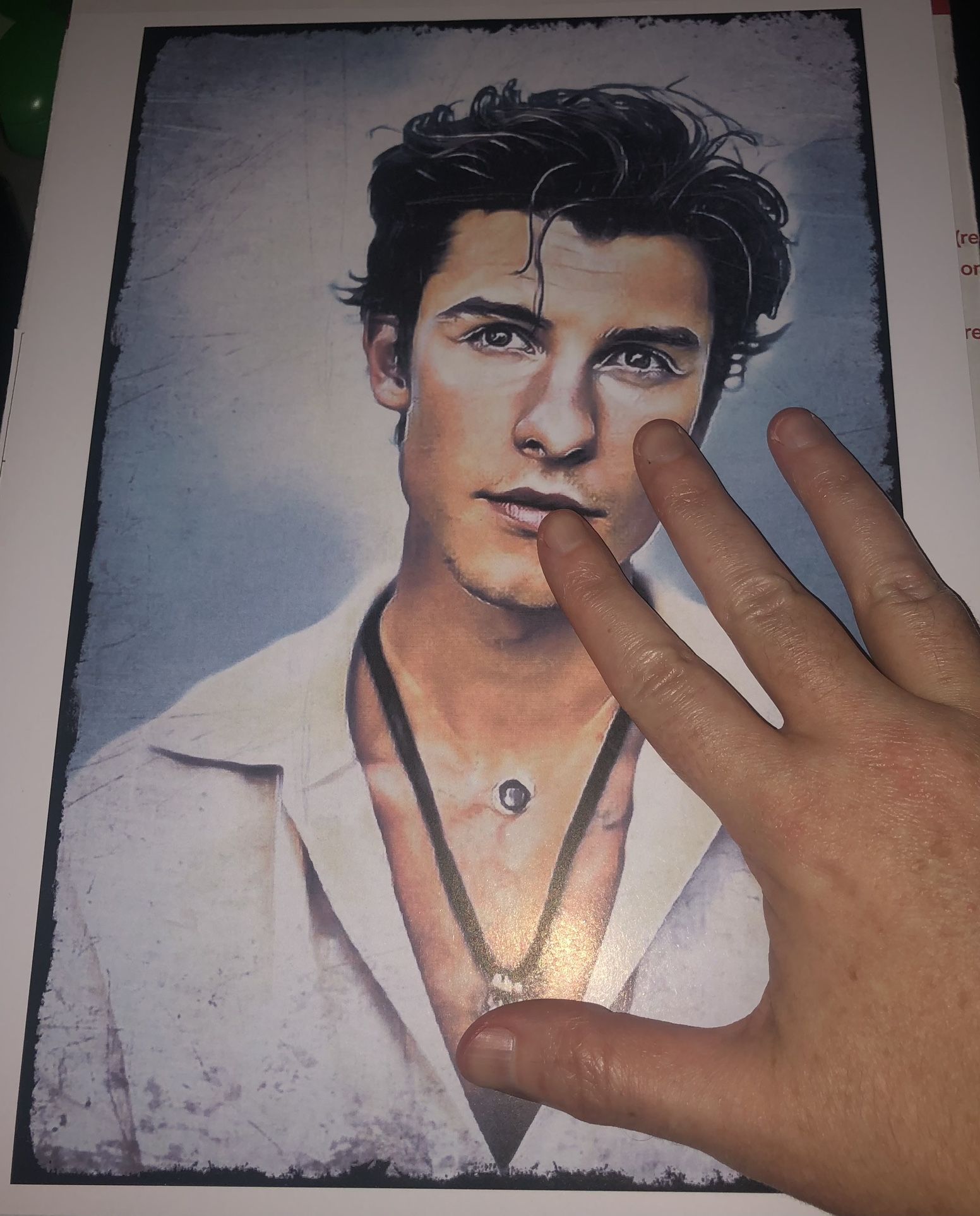 SHAWN MENDES ART PRINT