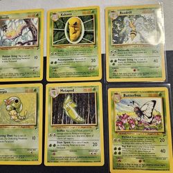 Beedrill,Butterfree  Pack