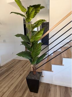 Large Artificial Bird of Paradise Plant – 5-6 Ft Tall – Modern Planter