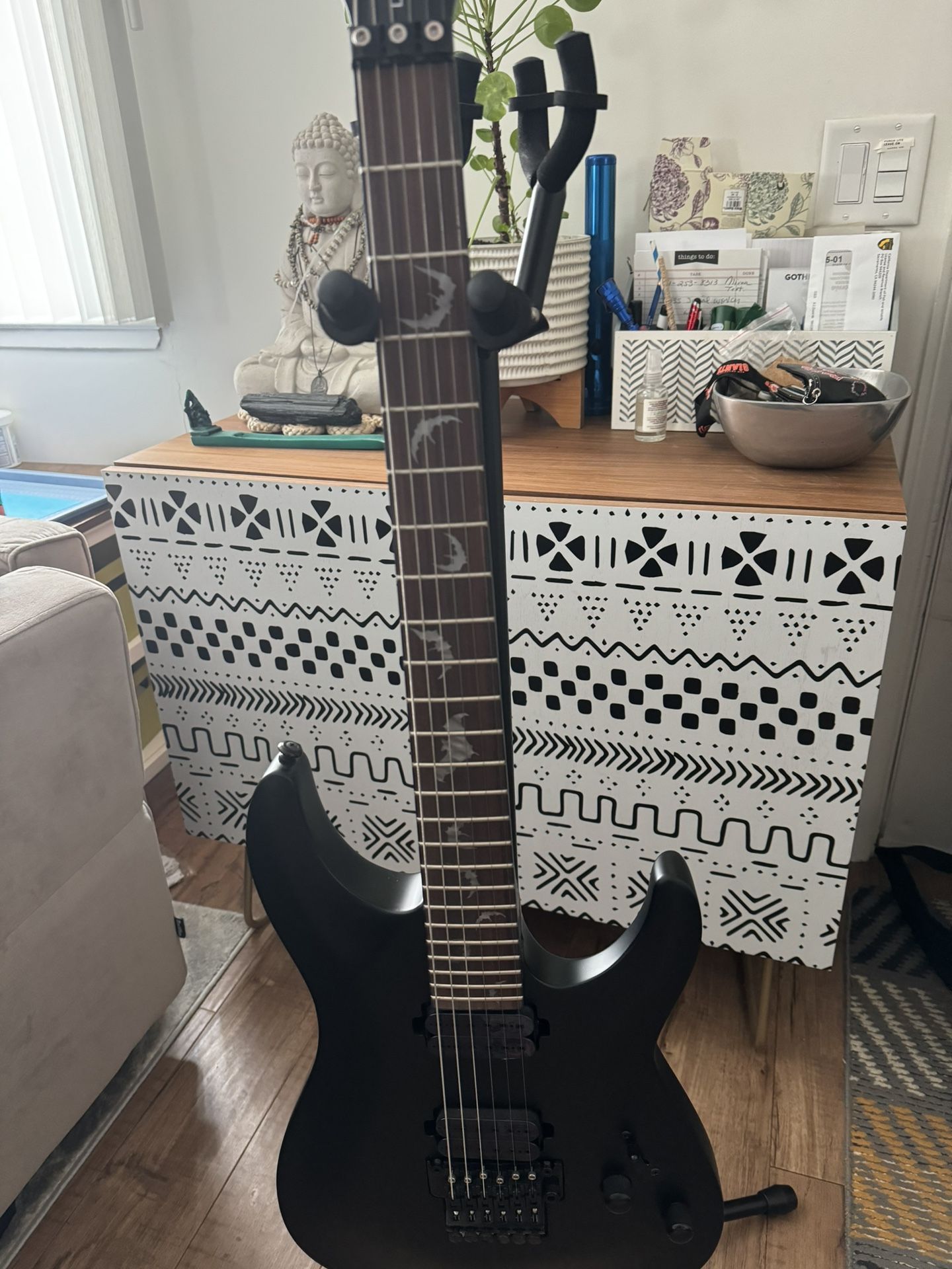 Schecter Guitar