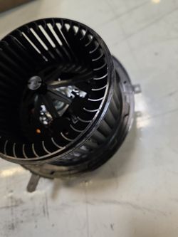 Blower Motor