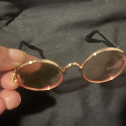 Doggy Sunglasses 