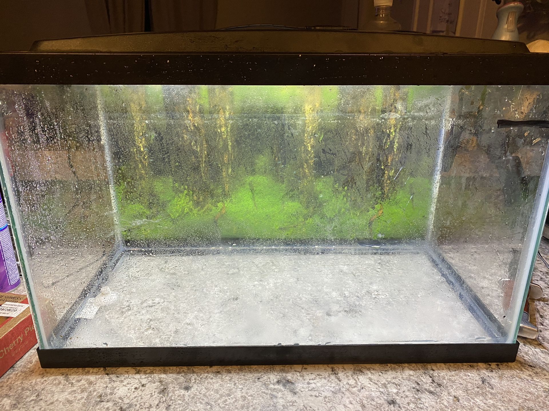 10 gallon fish tank