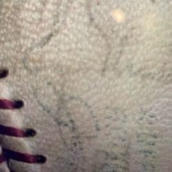 Vintage Yankees Signed Baseball Mickey Mantle,maris*